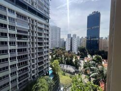 Cairnhill 16 (D9), Apartment #509990281